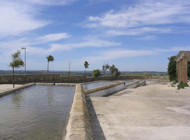 Fuente del Azocarrem