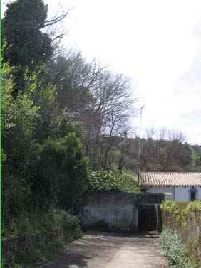 Fuente de los Naranjos