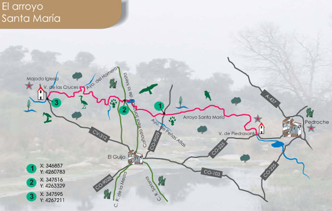 Plano ruta