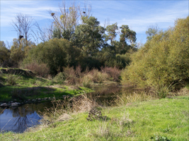 Paraje El Soto