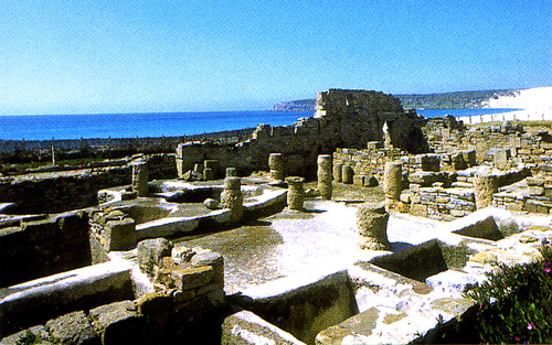 Gorum - Bolonia