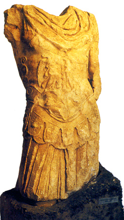 Toracata
