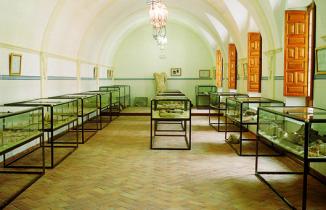 Museo