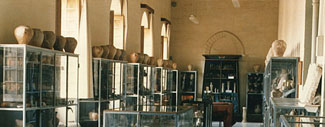 Museo