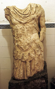 Toracata