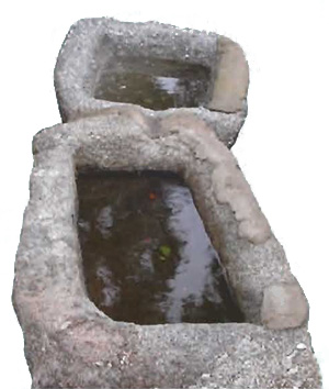 Guijo