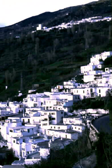 Sulayr