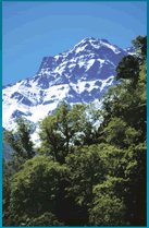 Sierra Nevada