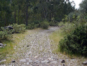 Calzada romana
