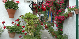 Córdoba