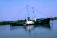 Pesca