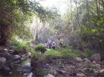 Rivera de la Monuleta Arroyo Quejigo y los Chorreros