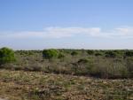 Doñana
