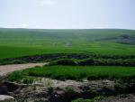 Alrededores de Córdoba