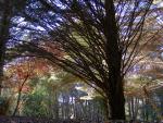 Otoño en la Sierra Norte
