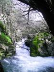 Rio Majaceite 8