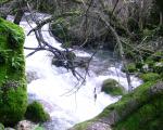 Rio Majaceite 11