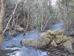 rio de la miel