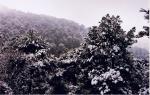 Sierra de Cazorla