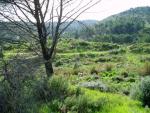 Sierra de Córdoba