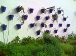 Fachada en Constantina