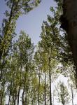 Bosque en Riofrío