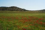 Paraje de Riofrío
